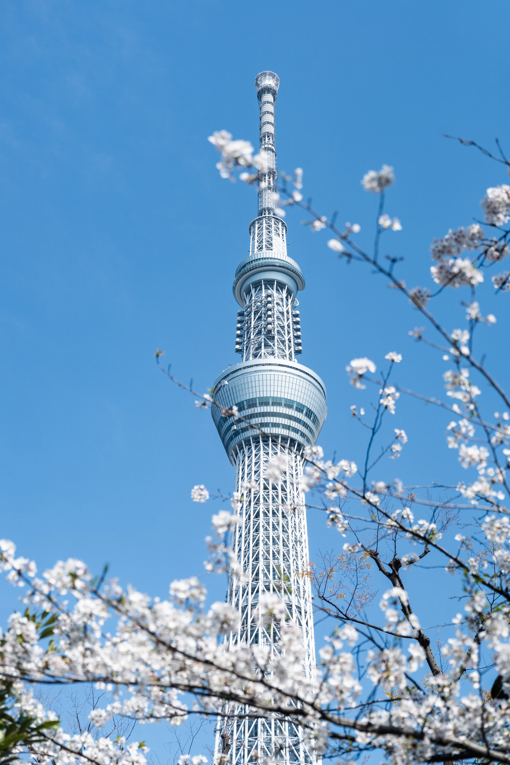 日本 照片 93