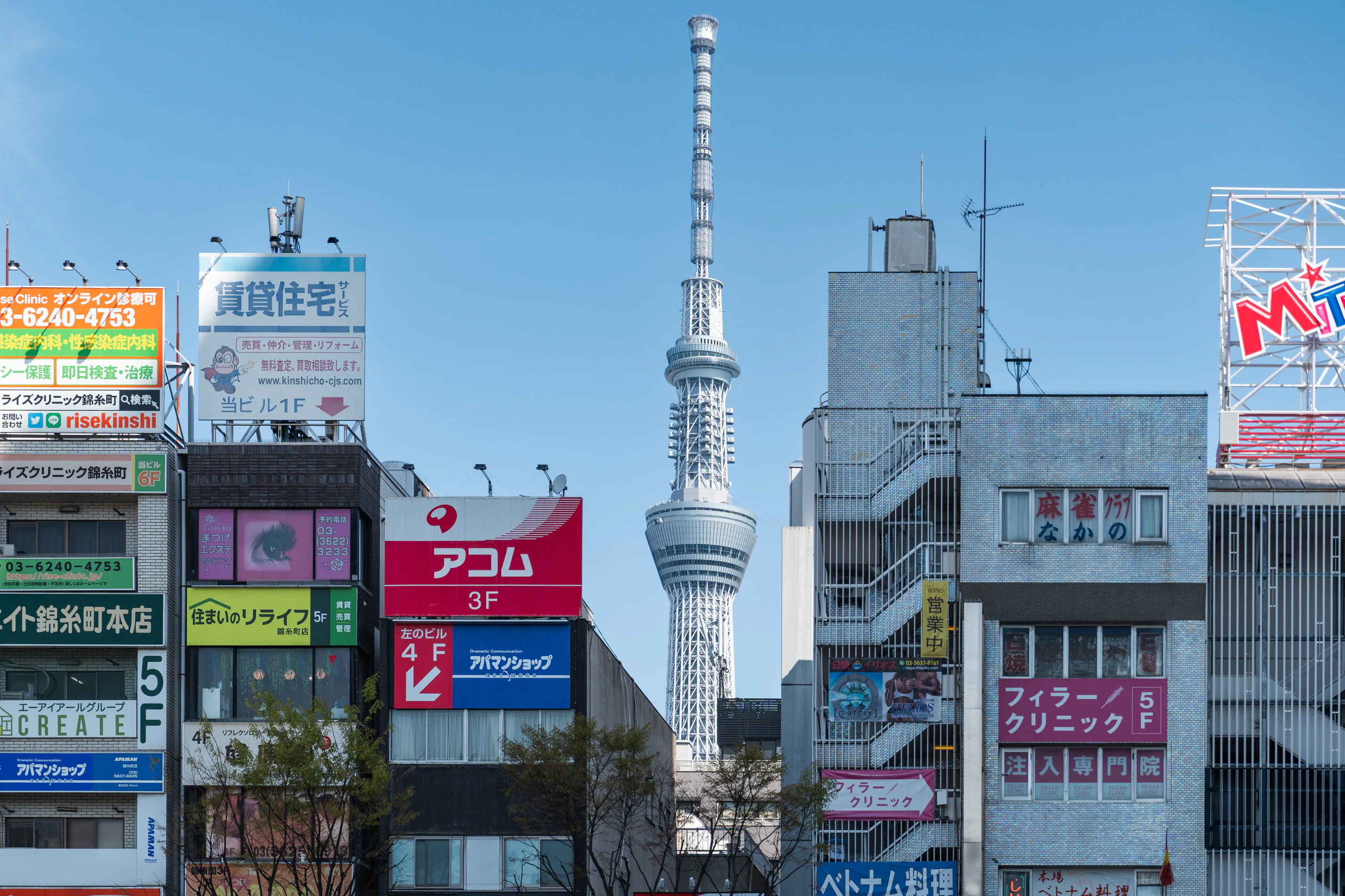 日本 照片 83